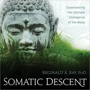 Somatic Descent: Experiencing the Ultimate Intelligence of the Body [Audiobook]