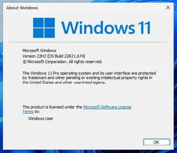 Windows 11 Pro 22H2 10.0.22621.674 (x64) October 2022