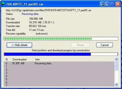 Internet Download Manager 5.1.1