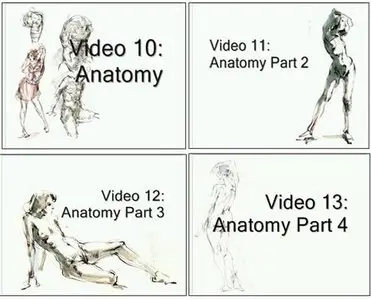 Sheldons Art Academy Videos 10-13 Anatomy