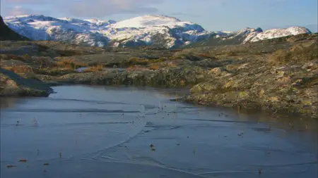 Wild Scandinavia / Wildes Skandinavien / Дикая природа Скандинавии (2011) 