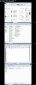 Master Microsoft Access from Beginner to Advanced