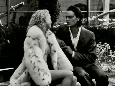 Venus in Furs - Maartje Seyferth & Victor Nieuwenhuijs (1995)