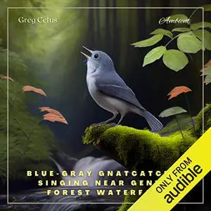 Blue-gray Gnatcatcher Singing Near Gentle Forest Waterfall: Nature Sounds for Yoga and Relaxation [Audiobook]