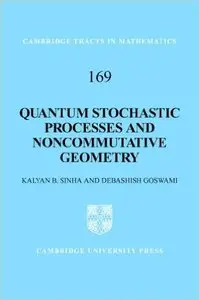 Quantum Stochastic Processes and Noncommutative Geometry