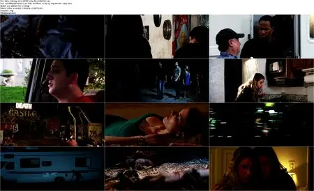 Killer Holiday (2013)