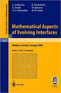 Mathematical Aspects of Evolving Interfaces