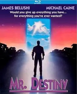 Mr. Destiny (1990) [w/Commentary]