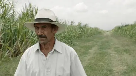 La tierra y la sombra / Land and Shade (2015)
