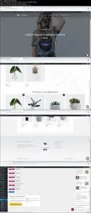 Crea tu tienda en linea profesional con WordPress
