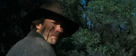 The Outlaw Josey Wales (1976)