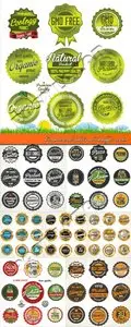 Commercial labels and badges vector