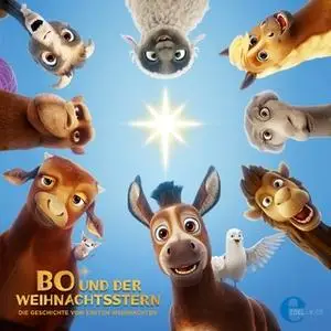 «Bo und der Weihnachtsstern» by Thomas Karallus