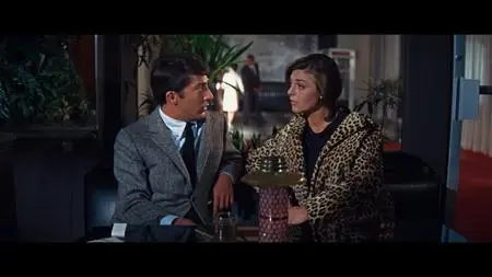 The Graduate (1967) [Criterion Collection]