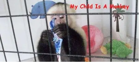 Real Life - My Child Is a Monkey (2009)