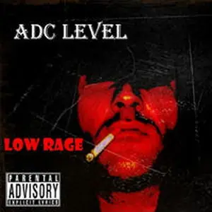Adc Level - CD 40: 2006-2009