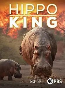 Hippo King (2022)