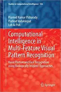 Computational Intelligence in Multi-Feature Visual Pattern Recognition (Repost)