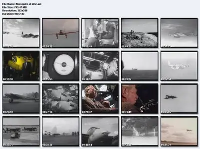 Mosquito at War: The Mosquito Story