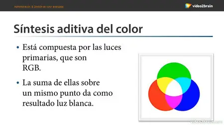 Fundamentos del color