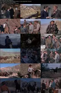 Cattle Drive (1951)
