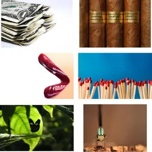 Wallpapers Macro. Set 10