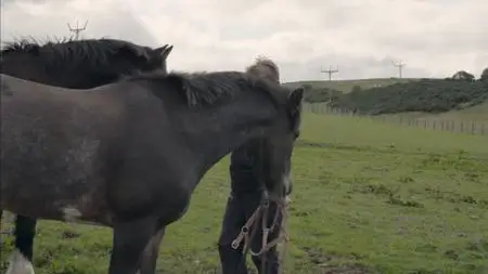 BBC - The Common Riding (2018)