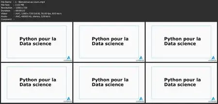 Python Pour La Data Science Et Le Machine Learning: A À Z