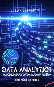 Byte-Sized Data Analytics: Making Sense of Data Overwhelm