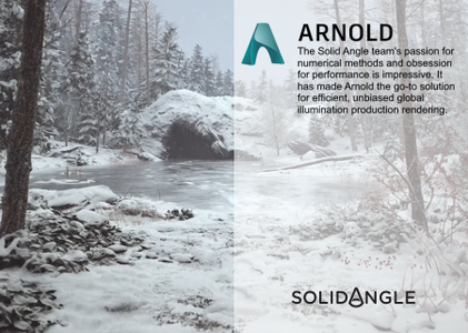 Solid Angle Cinema 4D to Arnold 4.0.3.2