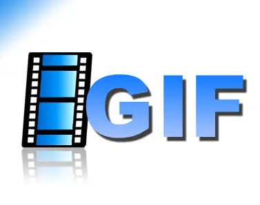 Blumentals Easy GIF Animator Pro 6.2.0.53 Portable