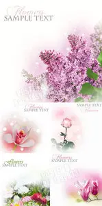 Spring flowers 22