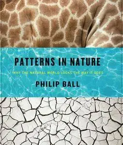 Patterns in Nature: Why the Natural World Looks the Way It Does (repost)