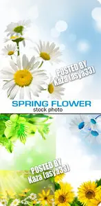 Spring flowers 3