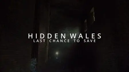 Hidden Wales: Last Chance to Save (2022)