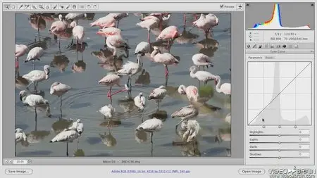 Video2Brain - Getting Started with Adobe Camera Raw