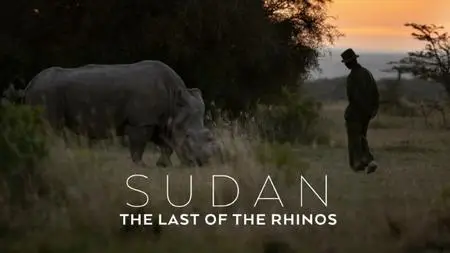 BBC Natural World - Sudan: The Last of the Rhinos (2017)