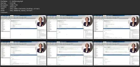 Matlab Für Studenten, Ingenieure Und Naturwissenschaftler