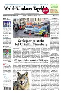 Wedel-Schulauer Tageblatt - 29. Oktober 2019