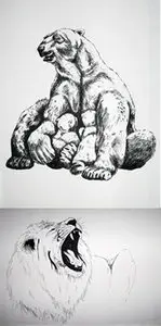 Animals Paintings