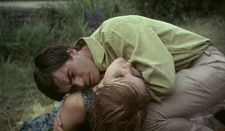 Agnès Varda-Le Bonheur (1965)