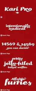 Kari Pro Font