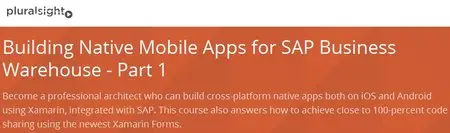 Building Native Mobile Apps for SAP Business Warehouse - Part 1 (Repost)