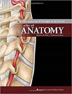 Lippincott Williams & Wilkins Atlas of Anatomy (Point (Lippincott Williams & Wilkins))