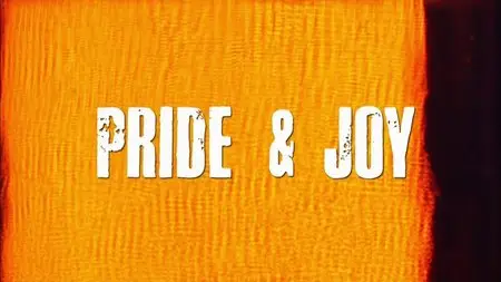 PBS - Pride and Joy: A Southern Foodways Alliance Feature Film (2013)