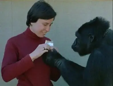 Koko, le gorille qui parle / Koko, a Talking Gorilla (1978)