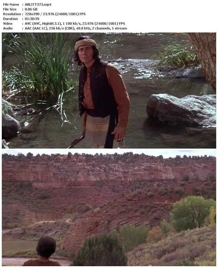 One Little Indian (1973)