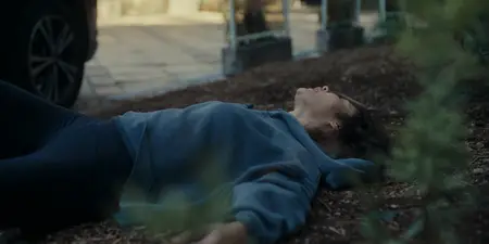 Other (2025)