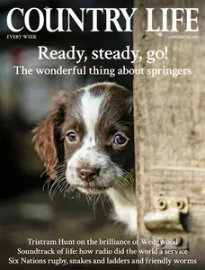 Country Life UK - January 29, 2025