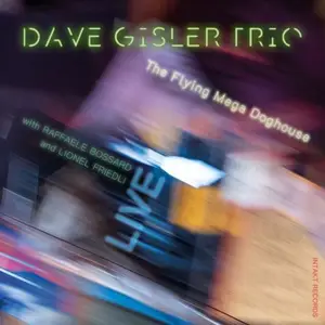 Dave Gisler Trio - The Flying Mega Doghouse (2025) [Official Digital Download 24/96]